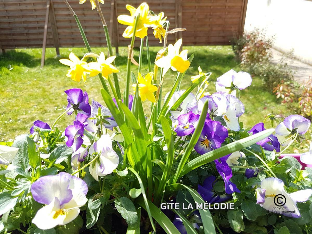 Longueville  Gite La Melodie מראה חיצוני תמונה